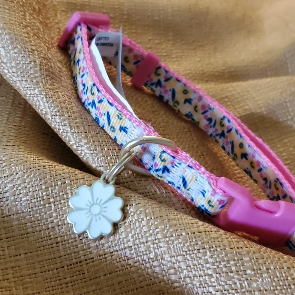 Cat Collar